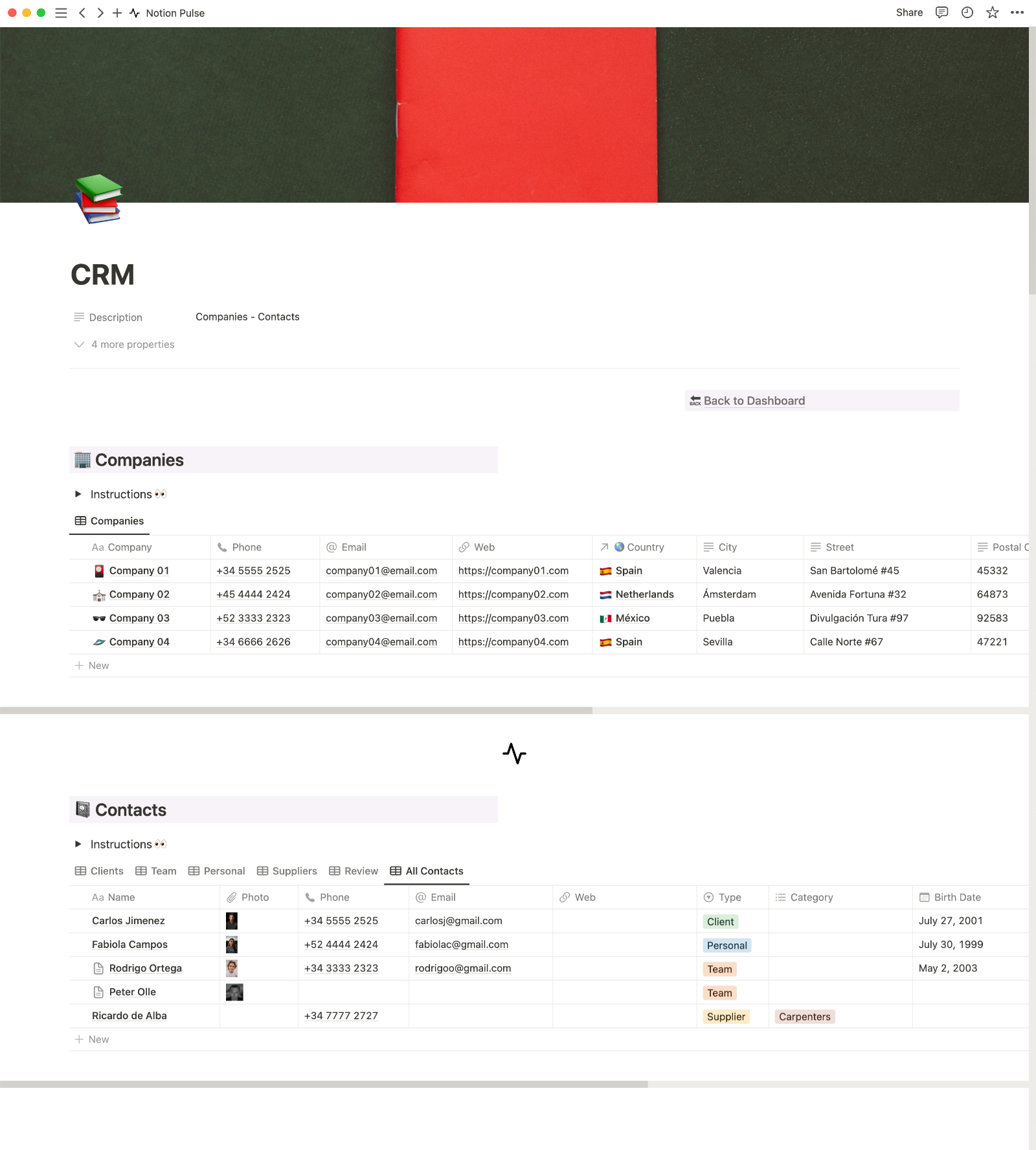 Notion Pulse CRM System