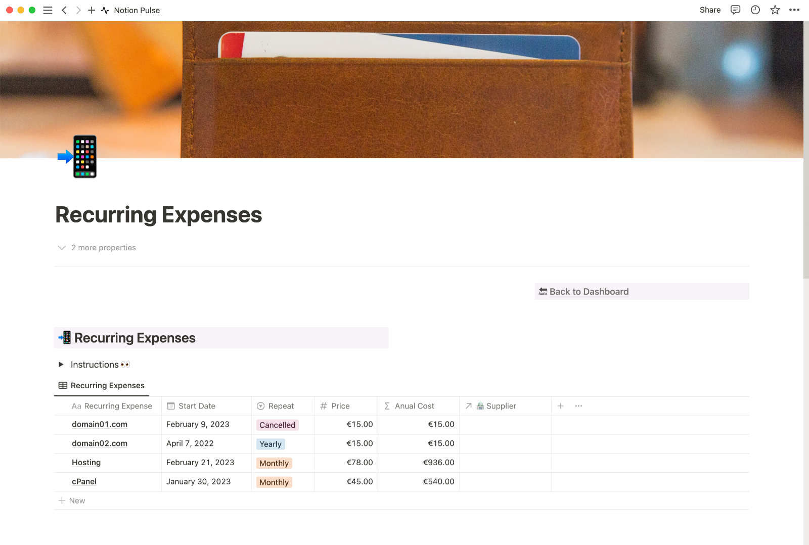 Notion Pulse Recurring Expenses