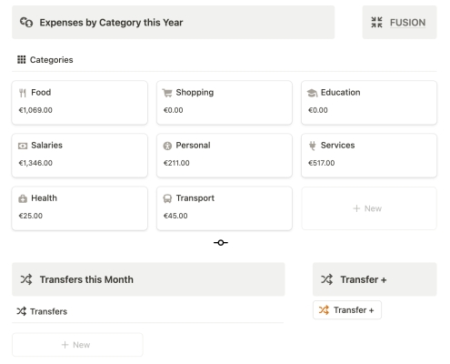 Notion Fusion Finance Year Categories